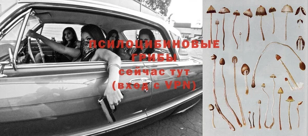 крисы Кукмор