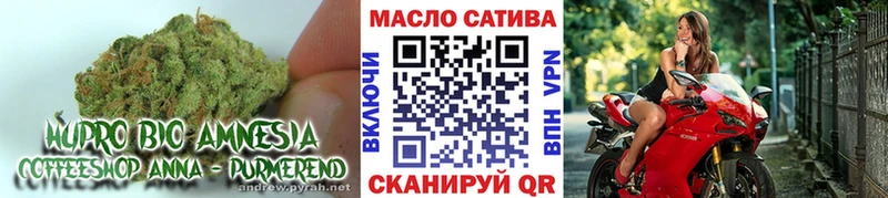 Купить закладки  Алупка  Дистиллят ТГК вейп с тгк 
